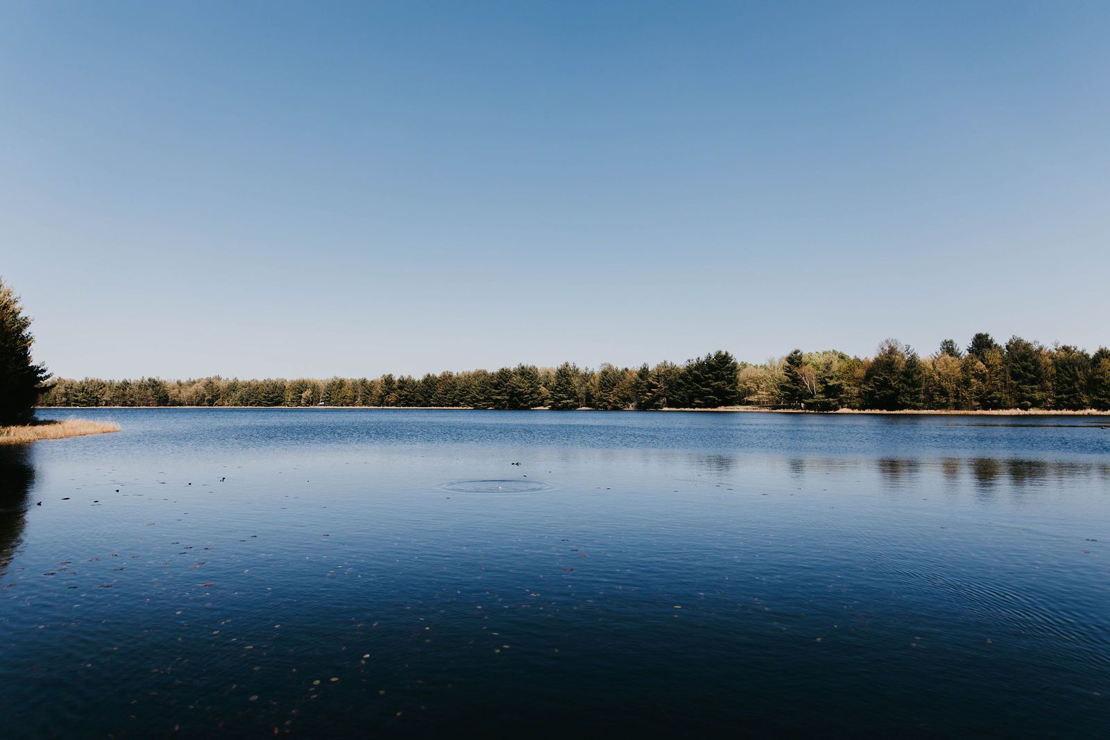Calm lake under a blue sky at Cornerstone Cabin near Siren, Wisconsin